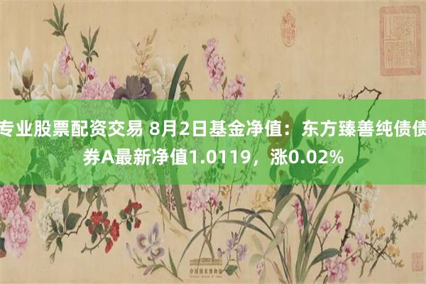 专业股票配资交易 8月2日基金净值：东方臻善纯债债券A最新净值1.0119，涨0.02%