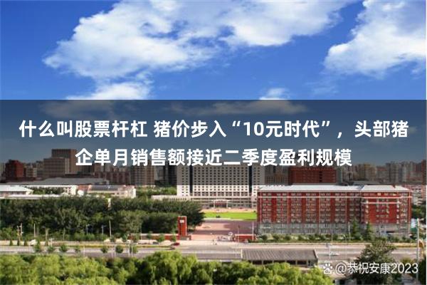 什么叫股票杆杠 猪价步入“10元时代”，头部猪企单月销售额接近二季度盈利规模