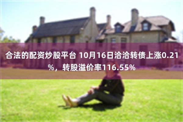 合法的配资炒股平台 10月16日洽洽转债上涨0.21%，转股溢价率116.55%