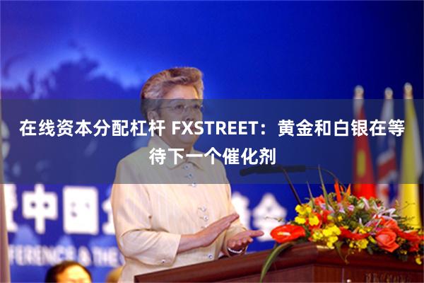 在线资本分配杠杆 FXSTREET：黄金和白银在等待下一个催化剂