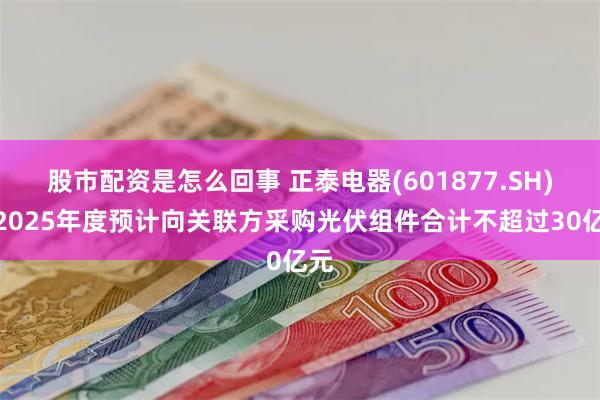 股市配资是怎么回事 正泰电器(601877.SH)：2025年度预计向关联方采购光伏组件合计不超过30亿元