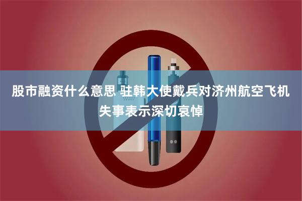 股市融资什么意思 驻韩大使戴兵对济州航空飞机失事表示深切哀悼