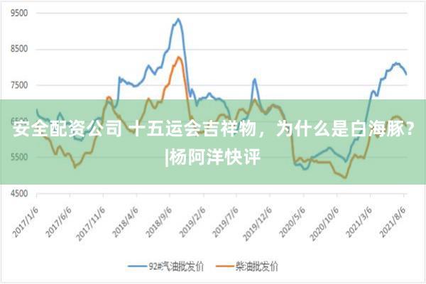 安全配资公司 十五运会吉祥物，为什么是白海豚？|杨阿洋快评