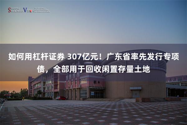 如何用杠杆证券 307亿元！广东省率先发行专项债，全部用于回收闲置存量土地