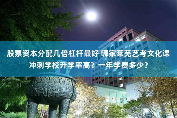 股票资本分配几倍杠杆最好 哪家莱芜艺考文化课冲刺学校升学率高？一年学费多少？