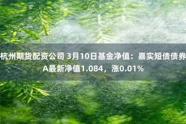 杭州期货配资公司 3月10日基金净值：嘉实短债债券A最新净值1.084，涨0.01%